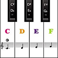 Pegatinas de piano para teclados 54-61-76-88 [transparentes y extraíbles] juego completo de pegatinas para teclas…
